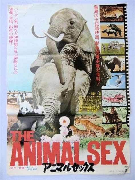 animal sexmovi